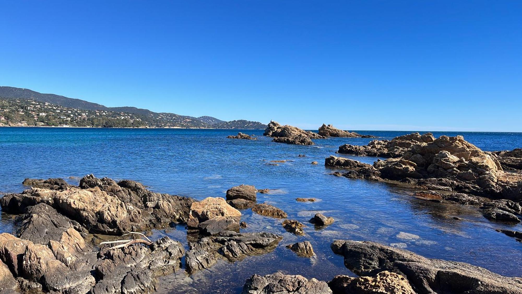 Port De Hyeres L'Etoile Marine Daire Dış mekan fotoğraf