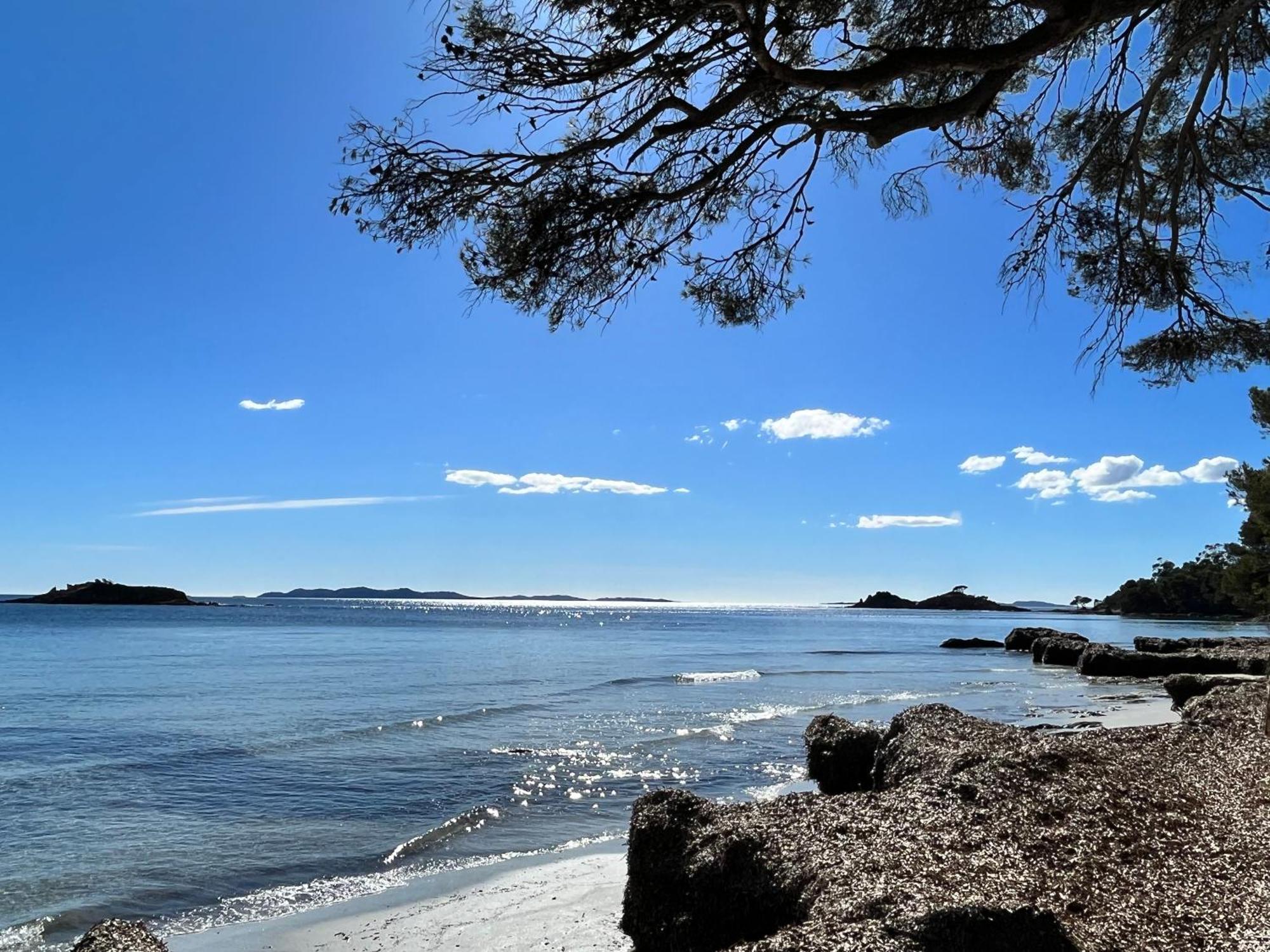 Port De Hyeres L'Etoile Marine Daire Dış mekan fotoğraf